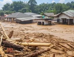 Hutan Sumut Kritis, Pemerintah Diminta Tegas Berantas Illegal Logging