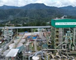 Negara Hentikan Operasi PT Toba Pulp Lestari Tbk, DPR Desak Audit Total