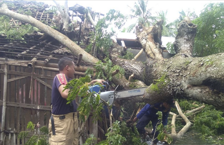 Angin Kencang Tumbangkan Pohon di Ciputat Tangsel, Akibatkan 6 Rumah Warga Rusak