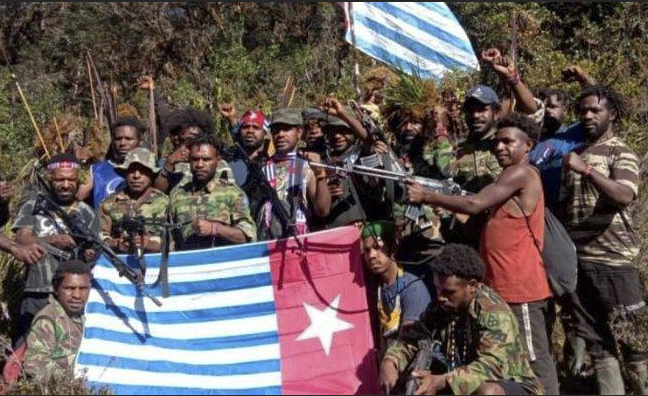 Pilot Heli WN Selandia Baru Tewas Ditembak KKB di Mimika Papua