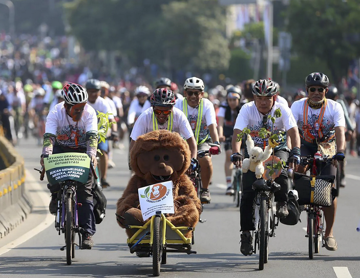 Kampanye Pelestarian Orangutan Lewat Sepeda Santai